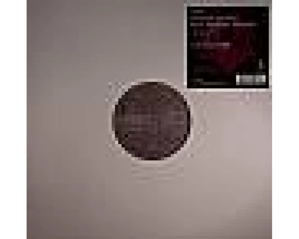 ananda project - Let Love Fly (Joe Claussell remix)