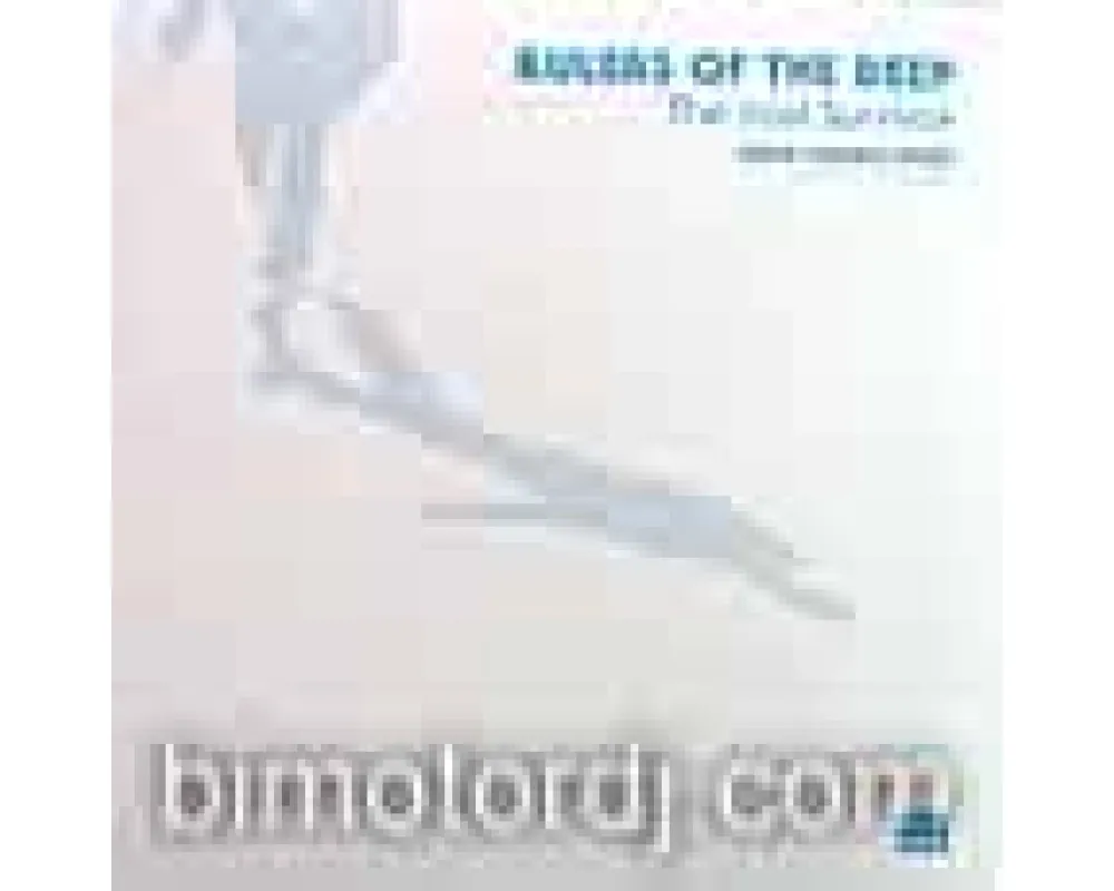 rulers of the deep - the last survivor rmxs