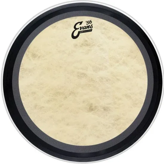 Evans 16" EMAD Calftone Bass
