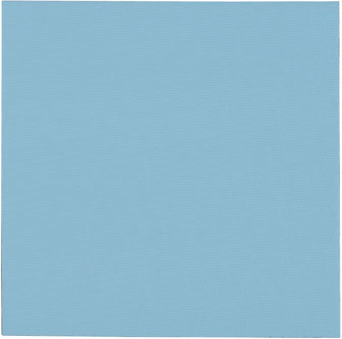 Thermal Pad Thermal Grizzly Minus Pad Pro 100 x 100 x 0.5 mm