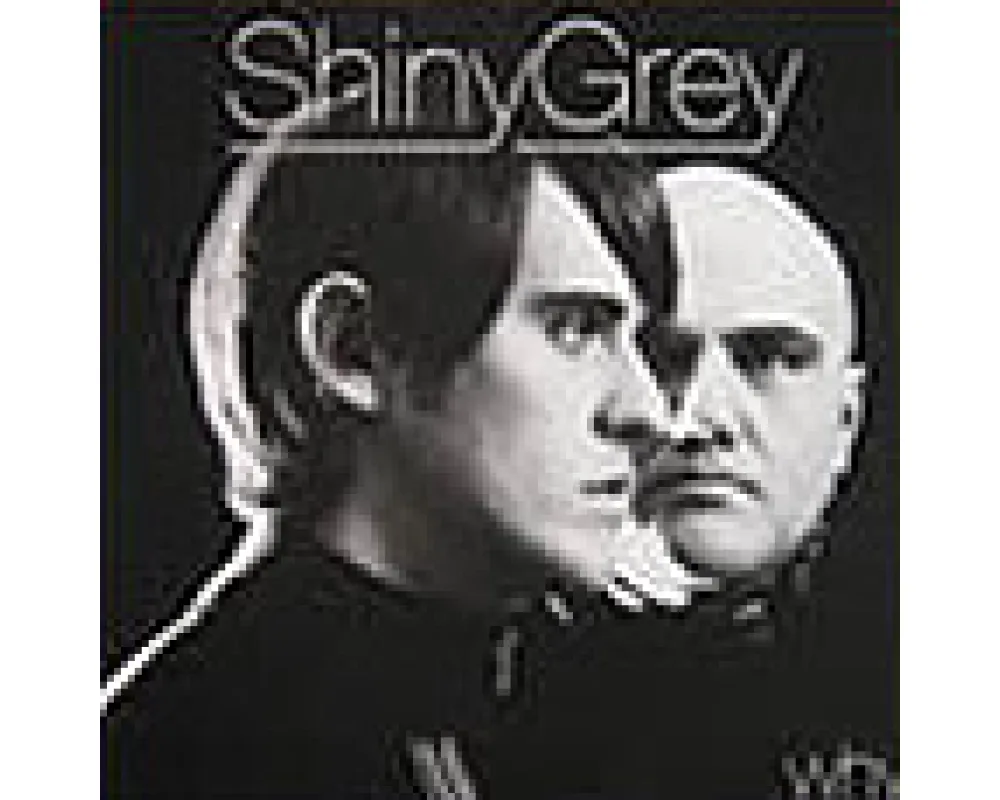 shiny grey - why (wally lopez remix)
