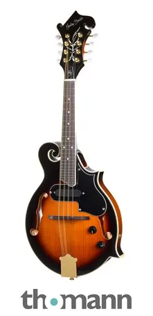 Harley Benton HBMA-100E- VS