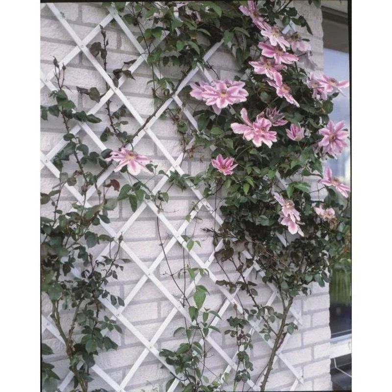 Treliça Nature Expandível Branca Plástico 50 x 150 cm Kit Fixação