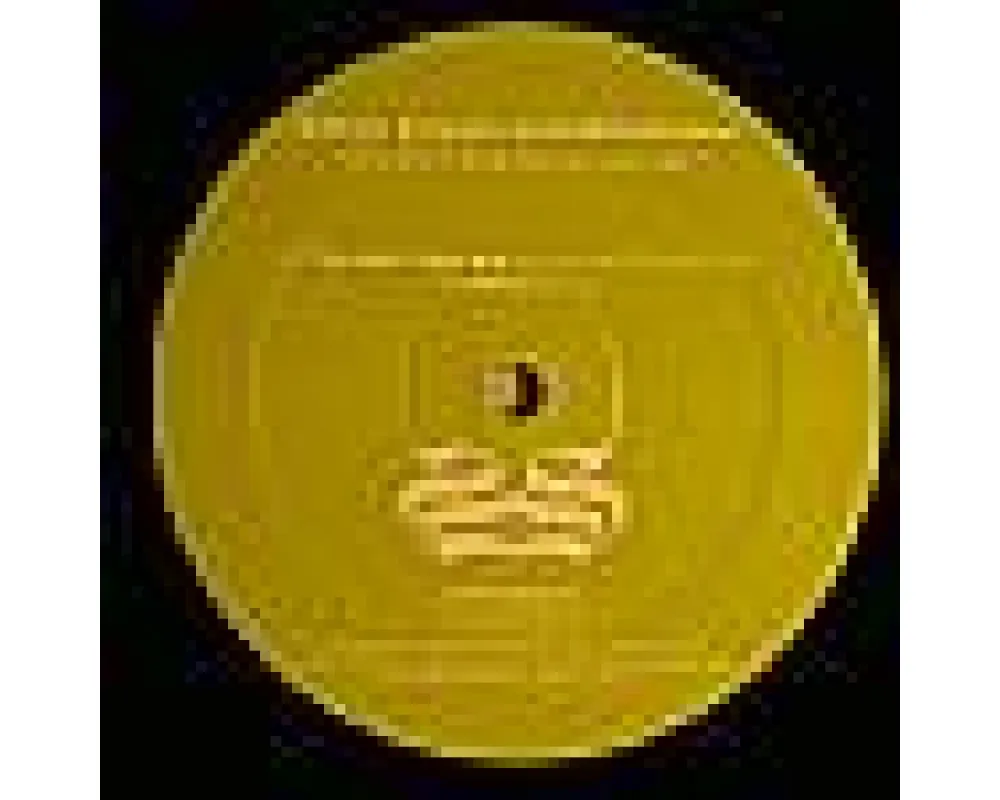 sidney samson &amp; skitzofrenix - you don t love me