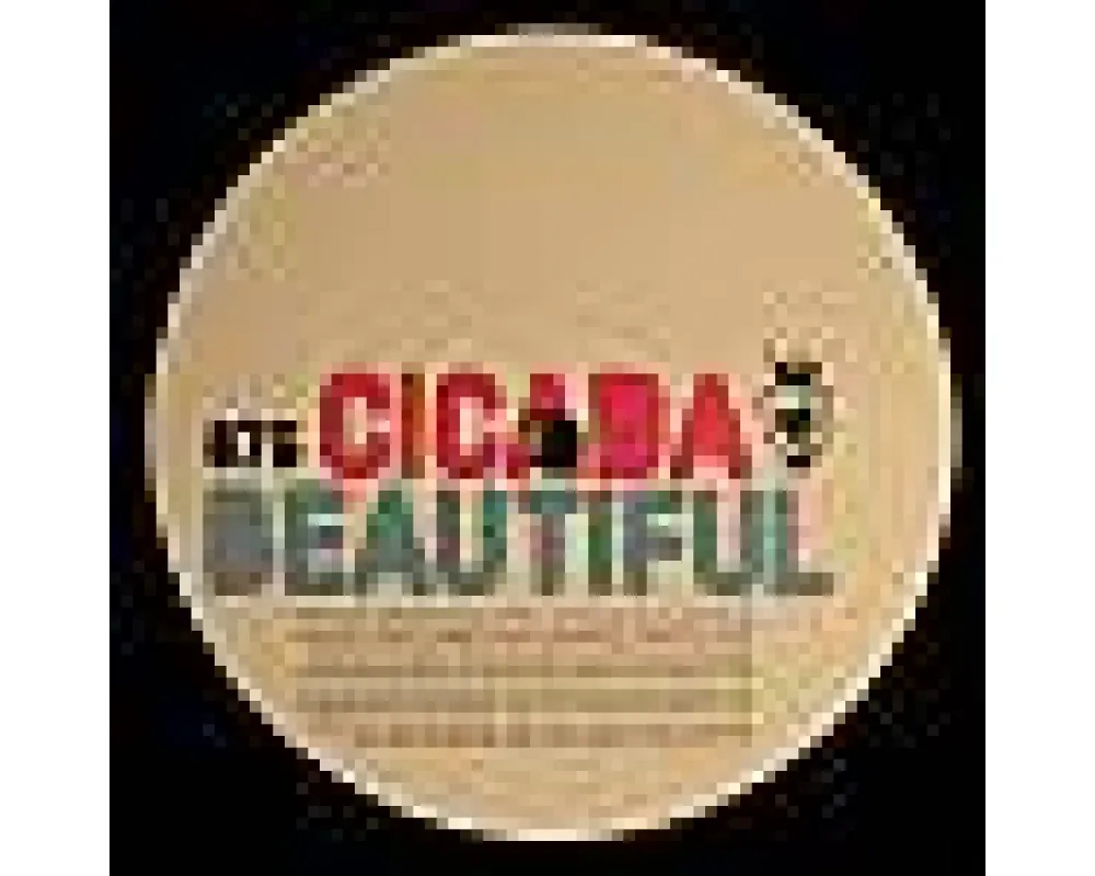 Cicada - Beautiful
