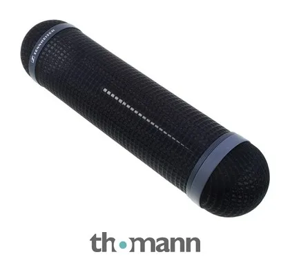 Sennheiser MZW60-1