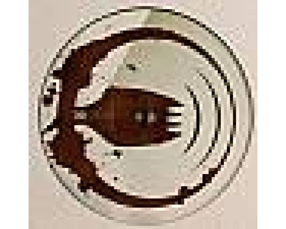 Michal Ho - Screw The Coffeemaker (A.beyer Rmx)