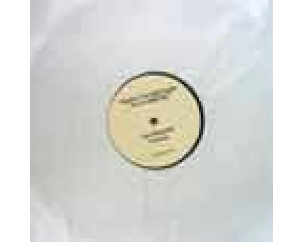 Gallardo pres. Tribute to Mark Spoon - Right In The Night