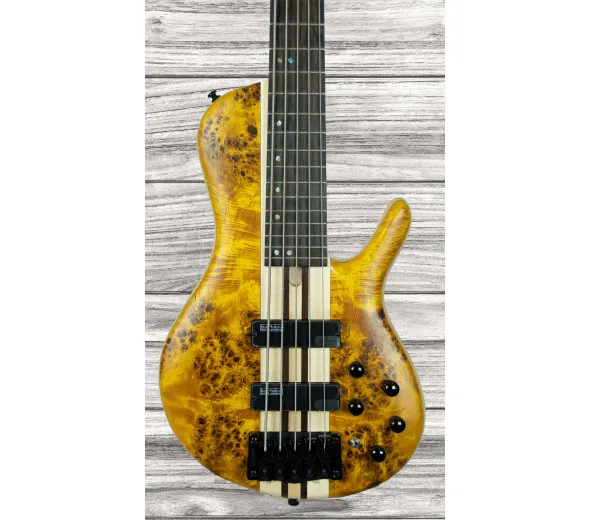 Cort A5 Plus SC Amber Open Pore