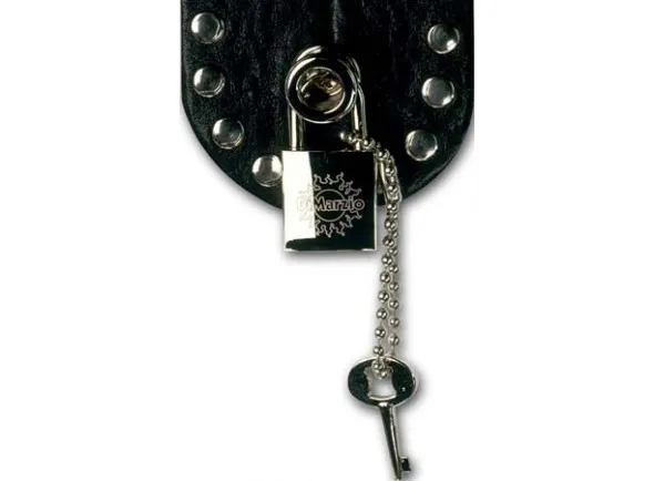 DiMarzio DD2100N