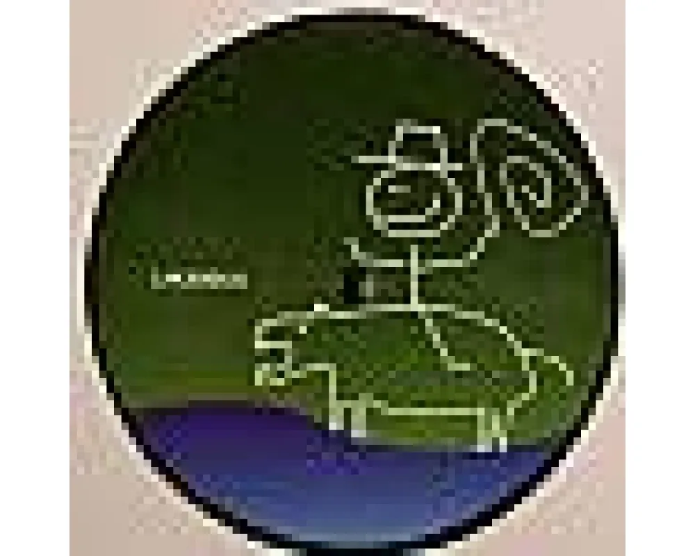 jussi-pekka - stream horse (motorcitysoul remix)