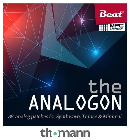 Beat Magazin The Analogon