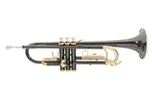 Trompete Roy Benson TR-101K Black Gold