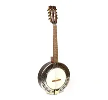 Banjo Apc 300 com estojo