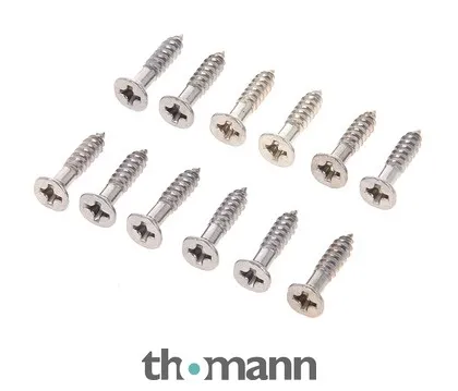 Harley Benton Parts Pickguard Screws Chrome