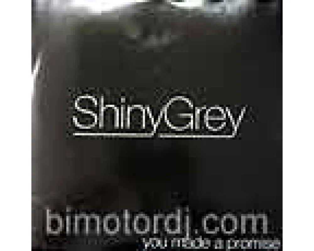 shiny grey - you made a promise