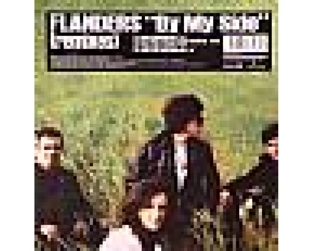 flanders - by my side (remixes)