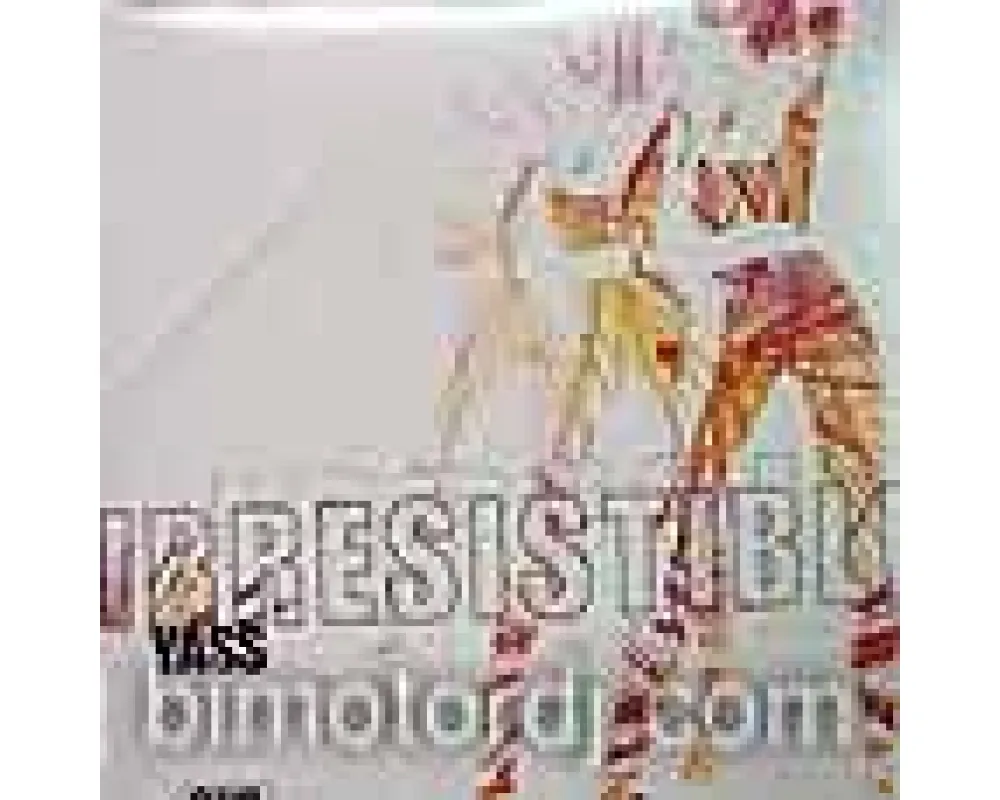 yass - irrestible including remixes of Dj Fudge