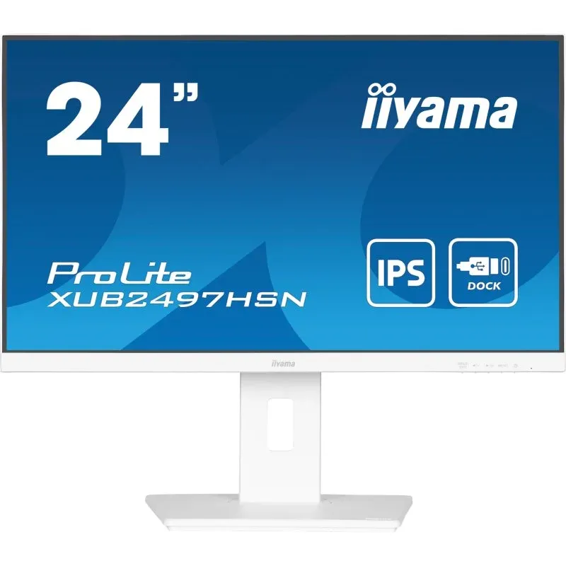 Iiyama Prolite XUB2497HSN-W1 24" LED IPS WQHD 100Hz USB-C