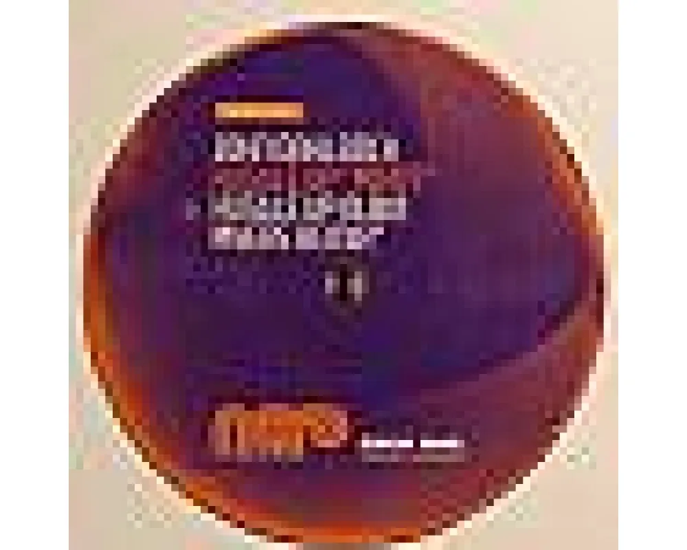 John Dahlback - Hustle Up rmxs