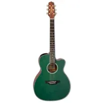 Takamine LTD2025 Gloss Antique Evergreen Edição Limitada