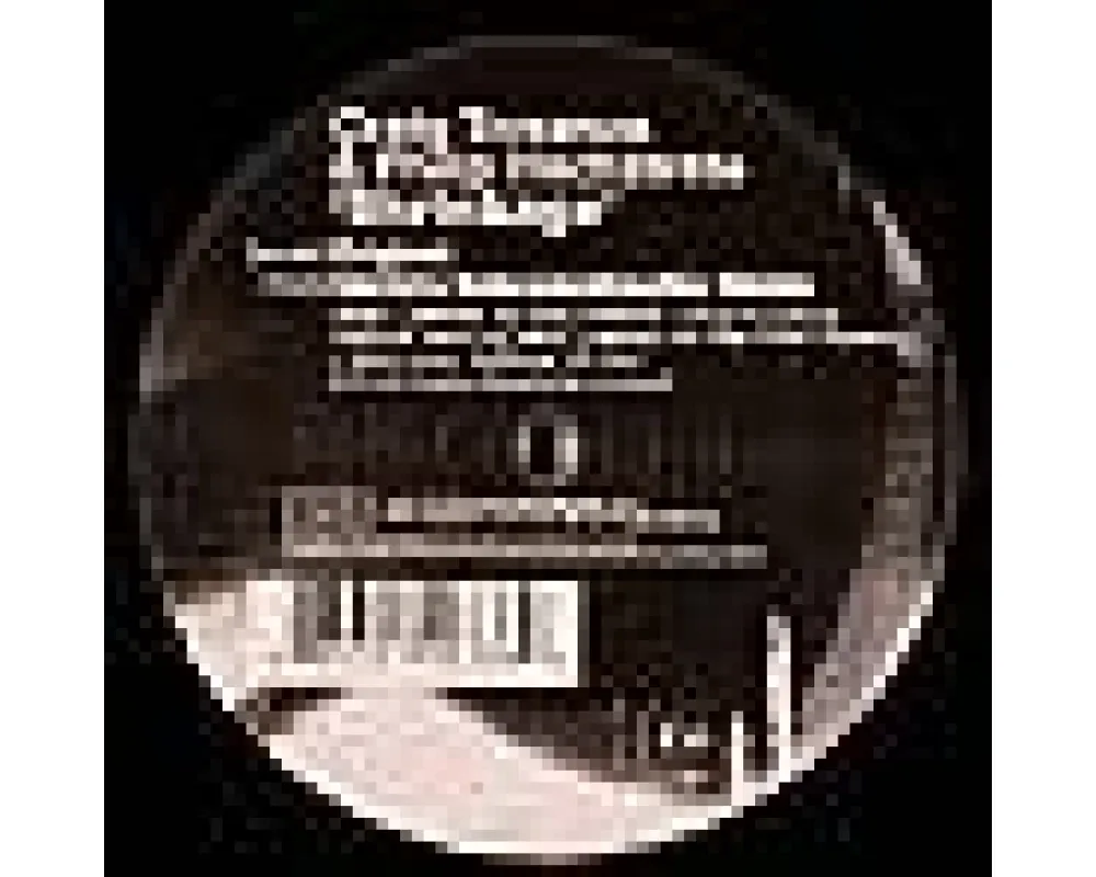 craig torrance & philip hochstrate - shrinkage (SAMIN rmx)