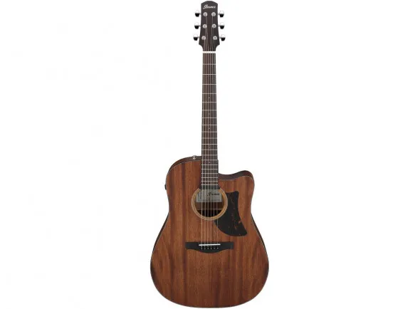 Ibanez AAD190CE-OPN