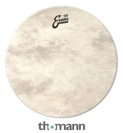 Evans 18" EQ4 Calftone Bass Drum
