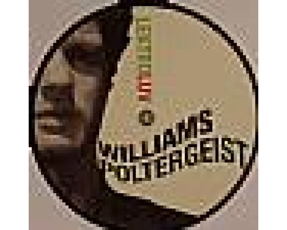 williams - poltergeist (voltique rmx)