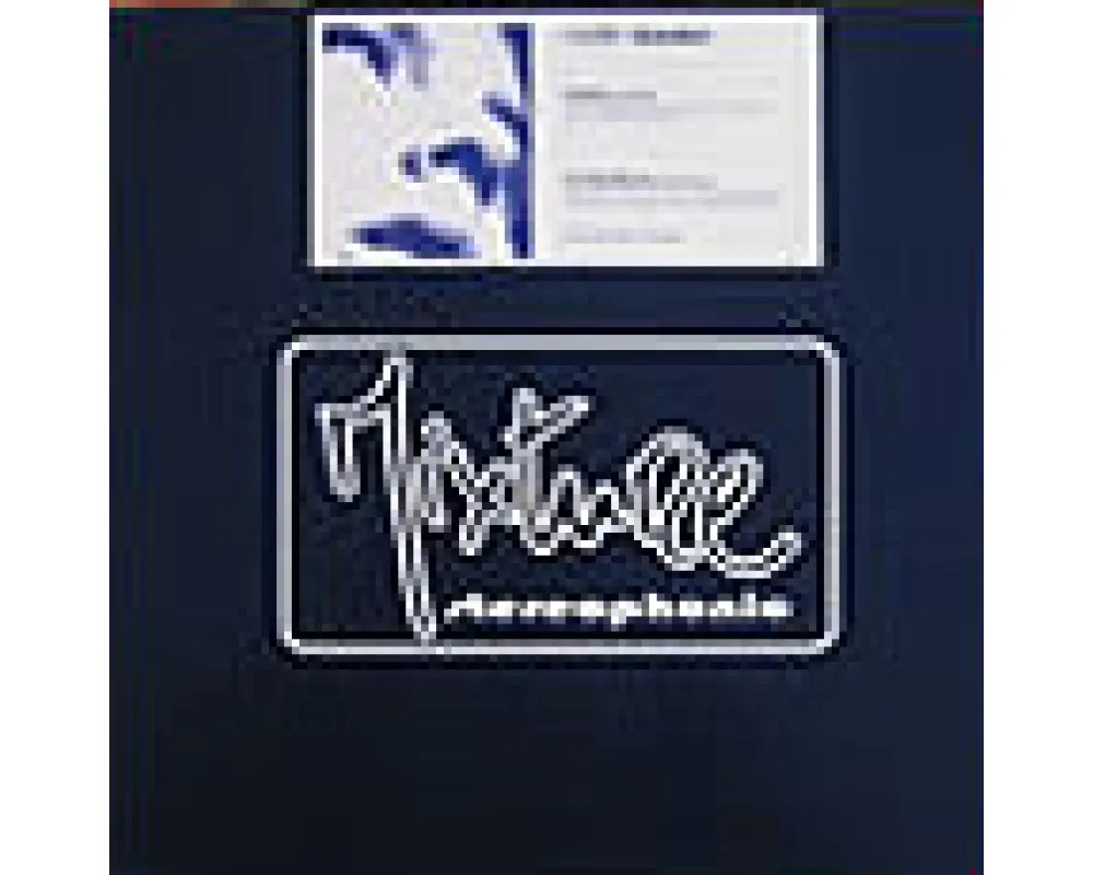 martin solveig feat mr b - destiny