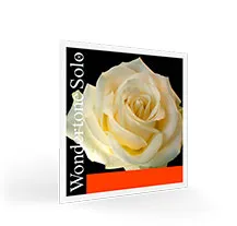 Jogo Cordas Violino Pirastro Wondertone Solo 4/4