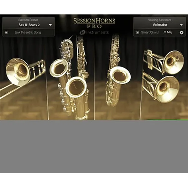 Native Instruments Session Horns Pro