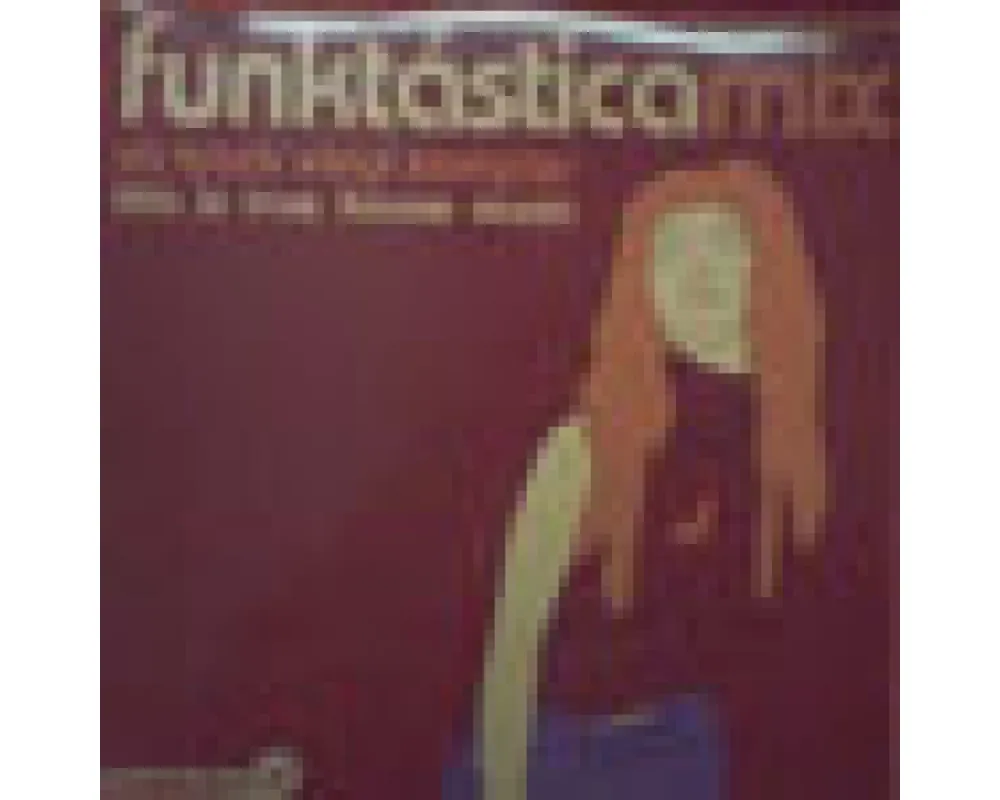 Funktastica Mix - This Is True House Music #1