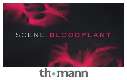 Native Instruments Scene: Bloodplant