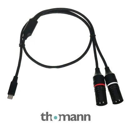 DAP-Audio FL115 USB-C to 2x XLR/M 0.75m