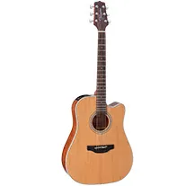 Takamine GD20CE Natural