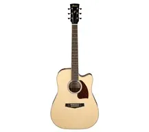 Ibanez PF16WCE NT Natural
