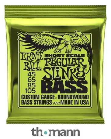 Ernie Ball 2852 Regular Slinky Short
