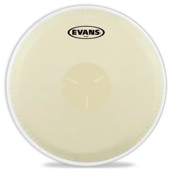 Evans EB07