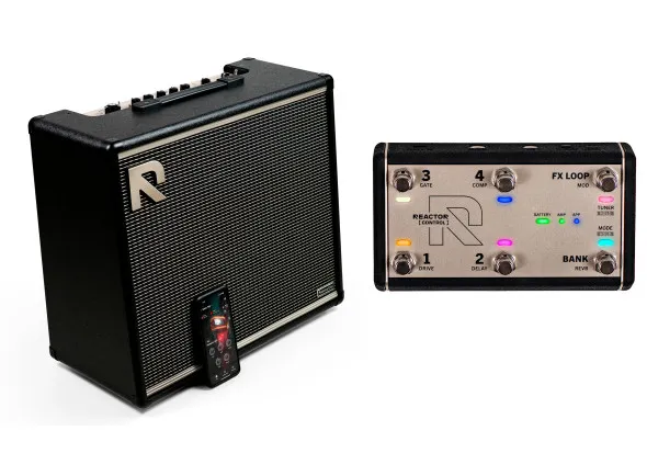 Positive Grid Reactor 100 w/Control Bundle