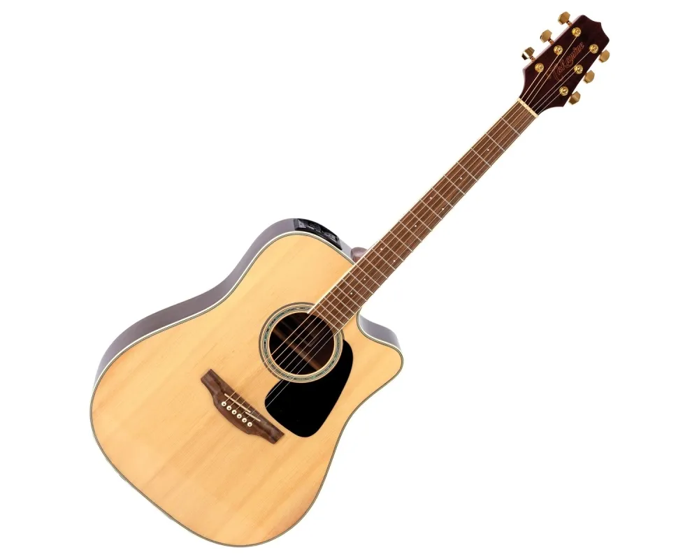 Takamine GD15CE-NAT