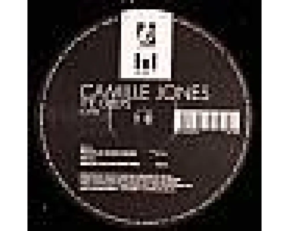 Camille Jones - The Creeps (Fedde Le Grand Remix)