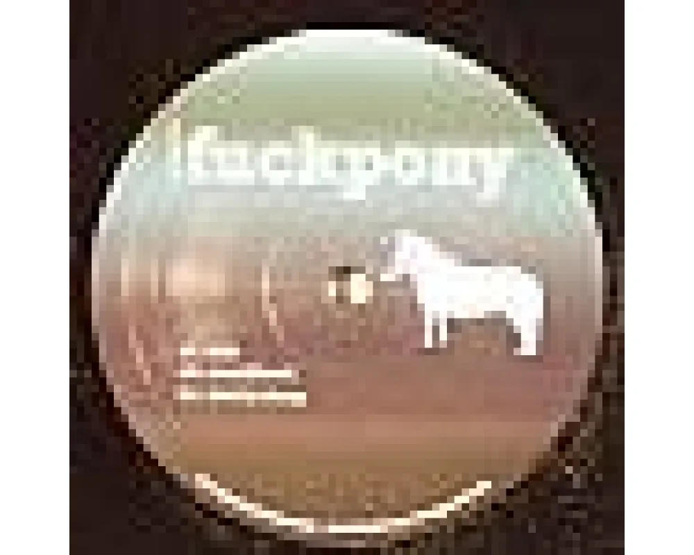 Fuckpony - Lost In Deep