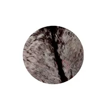 Pele natural Adamastor 30Cm com pelo