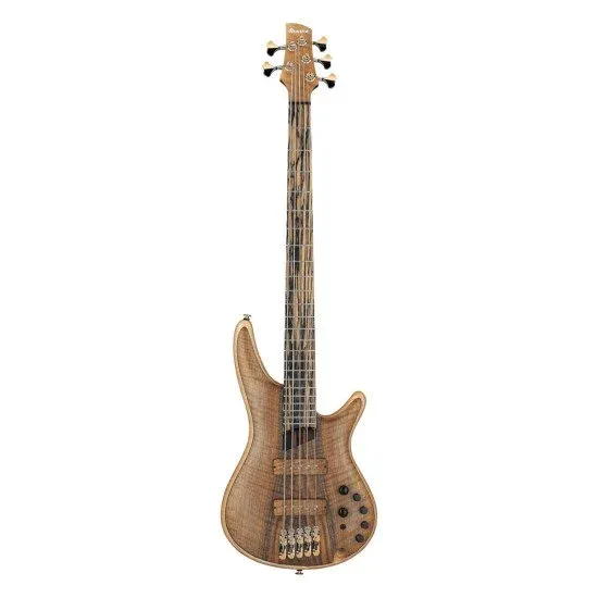 Ibanez IV1SR