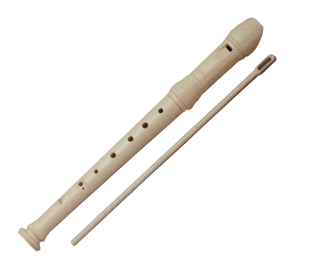 HONSUY Concept Plastic Recorder