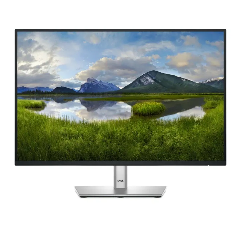 Monitor Dell P2425 24" IPS FHD Cinzento