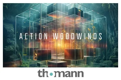 Native Instruments Action Woodwinds