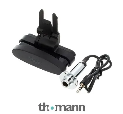 Taylor ES Go Pickup GS Mini