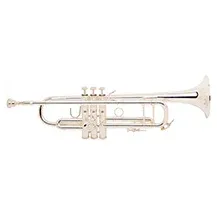 Trompete Bach Stradivarius Lacado 180ML 43/25